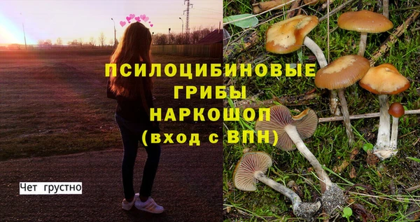 трава Алексин