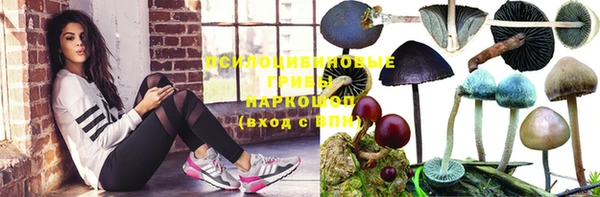 метадон Белокуриха