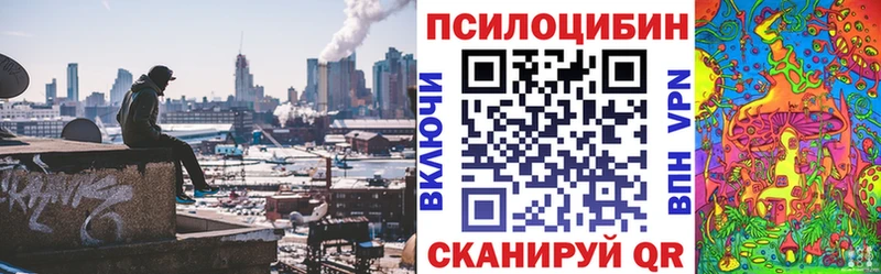 Галлюциногенные грибы Psilocybine cubensis  Купить закладки  Сибай 
